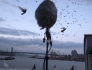 Fly By Night